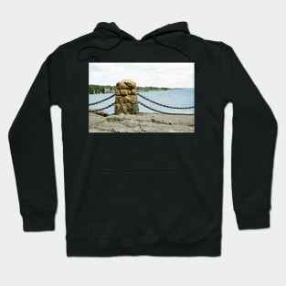 Gooseberry Falls Railing Hoodie